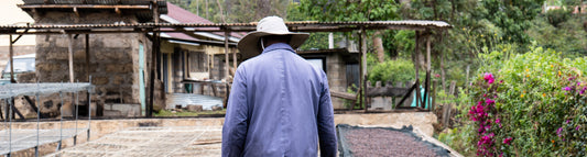 Visiting Specialty Coffee Farms and Projects in Kenya