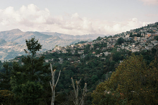 Visiting Specialty Coffee Producers in Mexico
