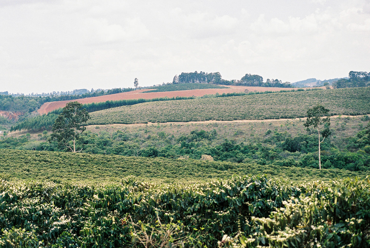 Brazil Santa Clara