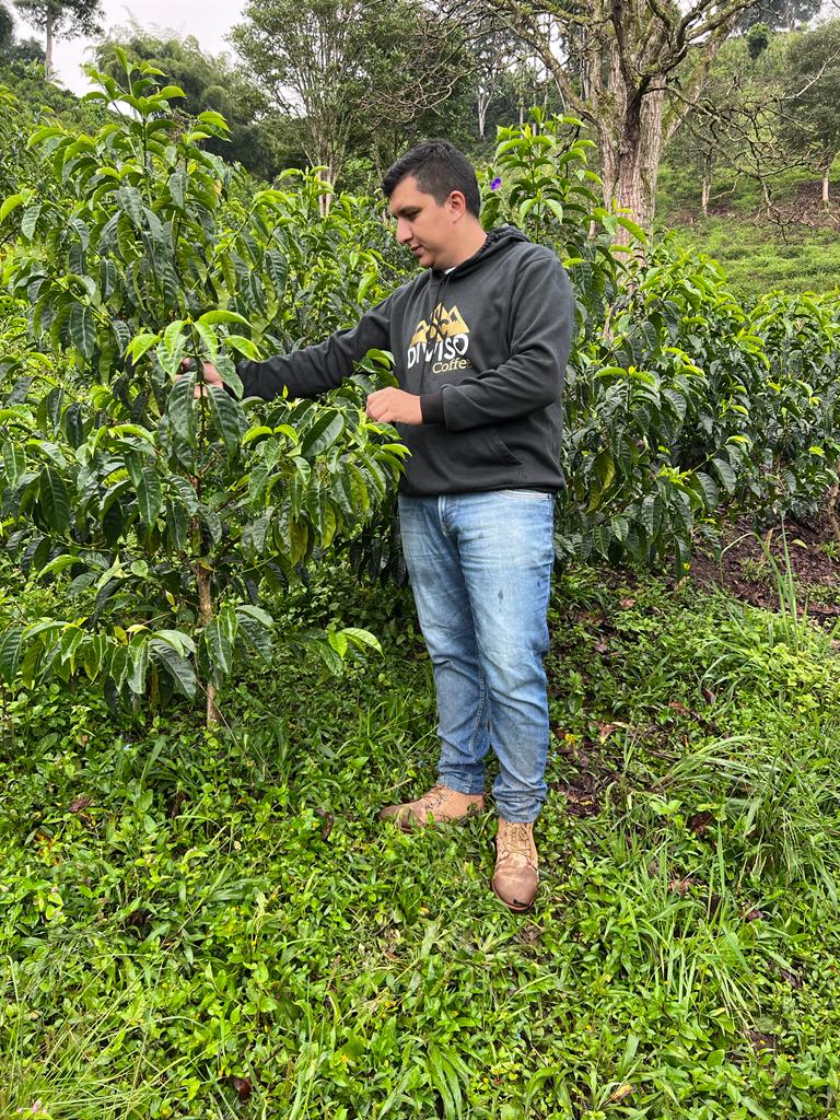 Colombia El Diviso