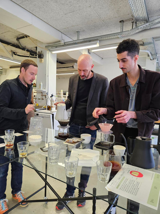 Filter Brewing Course