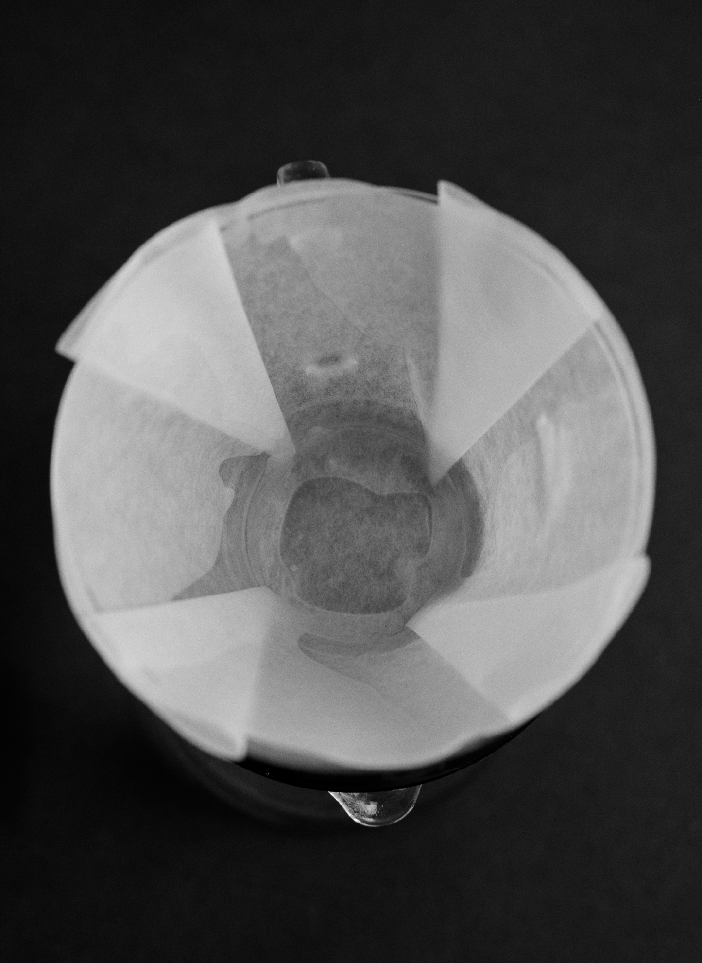 Sibarist B3 Filter Matt Winton