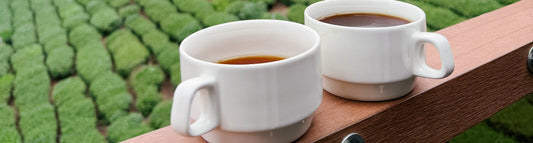 Good Coffee on the Road: Tips, Equipment, and Techniques for Travel