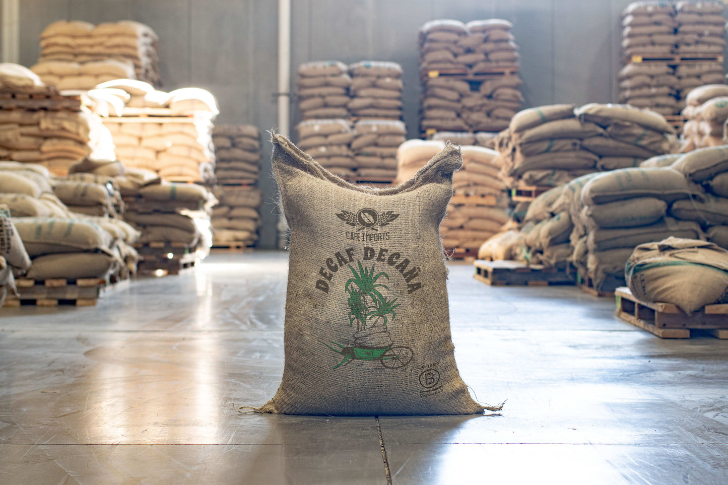 Colombia Pitalito Decaf
