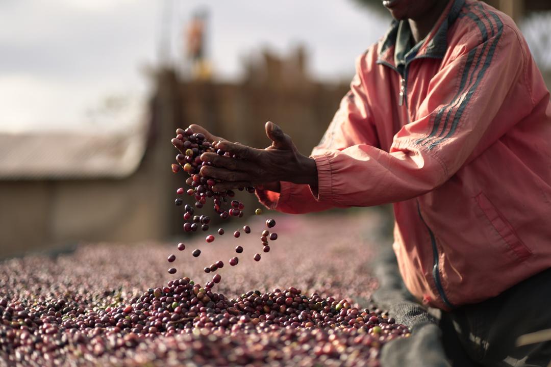 Ethiopia Buku Abel