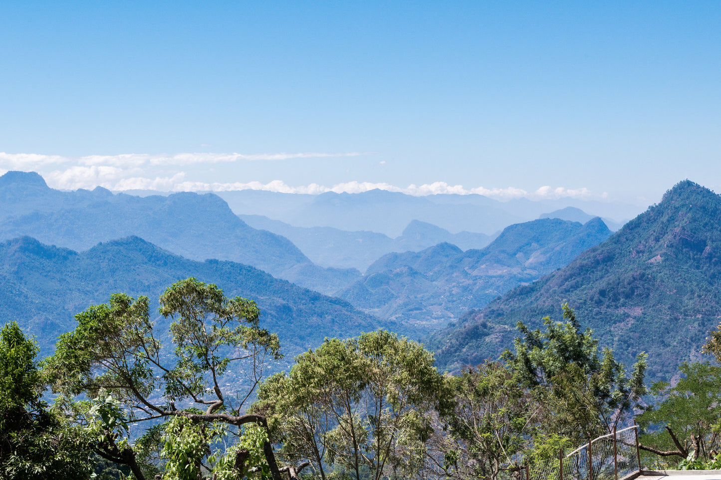 Guatemala Primavera Decaf