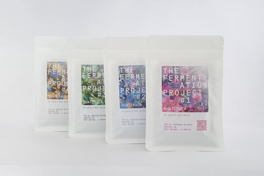 The Fermentation Project Tasting Set