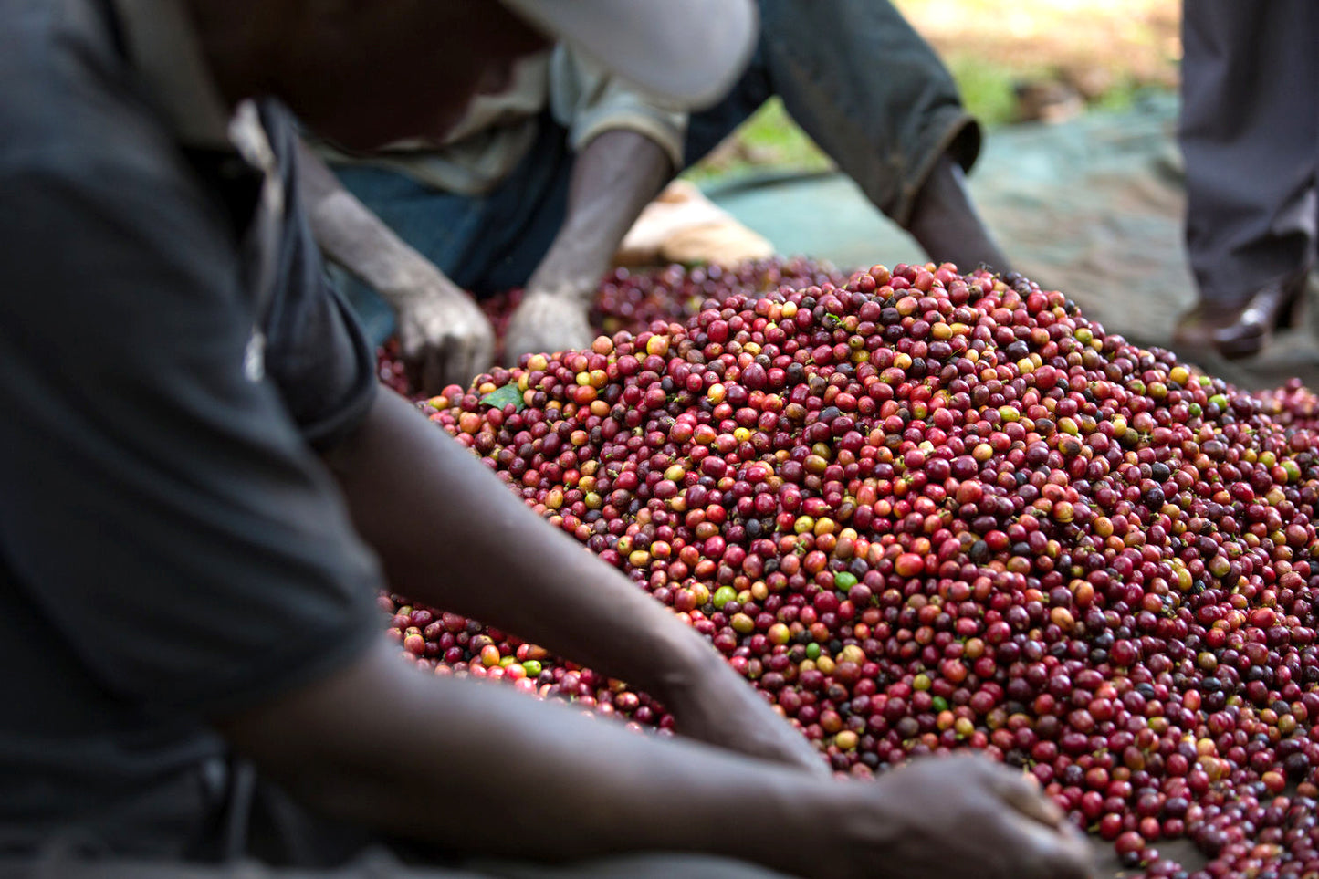 Kenya Elgon